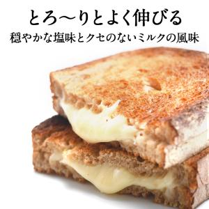 ドイツ産 ステッペンスライス 1kg[冷蔵/冷...の詳細画像1