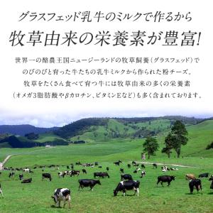 ニュージーランド産グラスフェッドパルメザンパウ...の詳細画像1