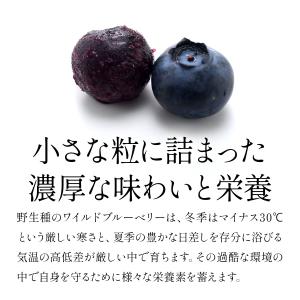冷凍フルーツ オーガニック ワイルドブルーベリ...の詳細画像3