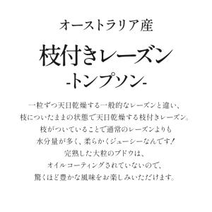 枝付きレーズン トンプソン 100g×3P[常...の詳細画像1