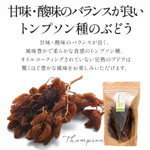 枝付きレーズン トンプソン 100g×3P[常...の詳細画像3