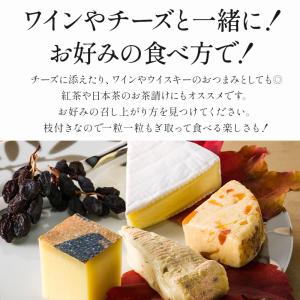 枝付きレーズン トンプソン 100g×3P[常...の詳細画像5