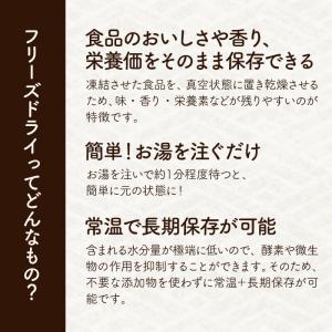 《2袋セットは890円/袋》フリーズドライ 国...の詳細画像1