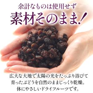 ★1,000円ポッキリ★ レーズン 750g ...の詳細画像1