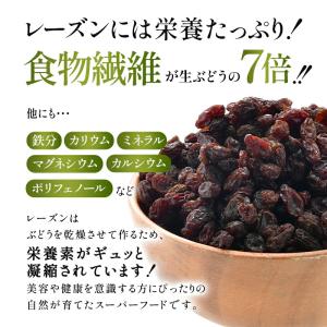 ★1,000円ポッキリ★ レーズン 750g ...の詳細画像4