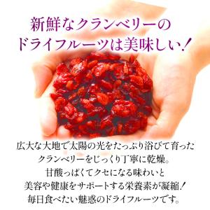 ★最安値挑戦★ ドライ クランベリー 800g...の詳細画像2