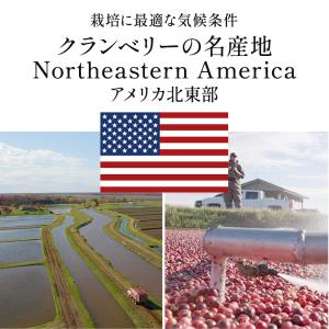 ★最安値挑戦★ ドライ クランベリー 800g...の詳細画像3