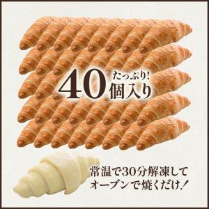 フランス産 ミニクロワッサン 25g×40個リ...の詳細画像1