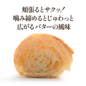 フランス産 ミニクロワッサン 25g×40個リ...の詳細画像3