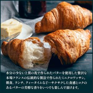 フランス産 ミニクロワッサン 25g×40個リ...の詳細画像4