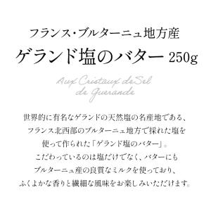 フランス産 ゲランド塩のバター ミニポーション...の詳細画像1