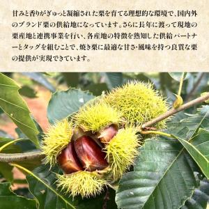 天津甘栗 焼き栗 2kg (1kg×2袋) 【...の詳細画像5