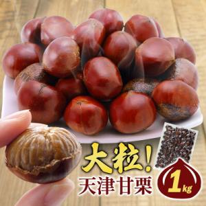 "天津甘栗 焼き栗 3kg (1kg×3袋) 【送料無料】［常温/全温度帯可］【3〜4営業日以内に出...