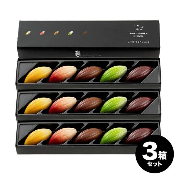 VAN DENDER プラリネ カボッスショコラ(5粒入り) チョコ［メール便］【送料無料】【3〜4...