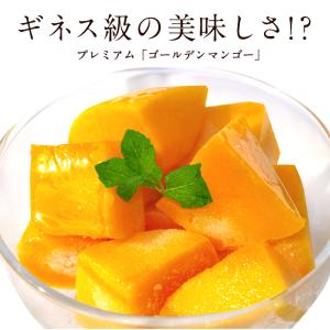 フィリピン産 冷凍カットマンゴー1kg×5<br>［冷凍］【3〜4営業日以内に出荷】【送料無料】｜cerest