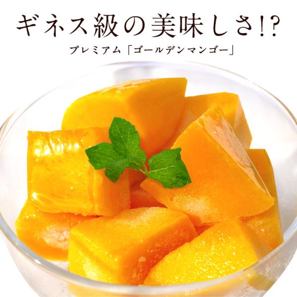 フィリピン産 冷凍カットマンゴー1kg×5<br>［冷凍］【3〜4営業日以内に出荷】【送料無料】