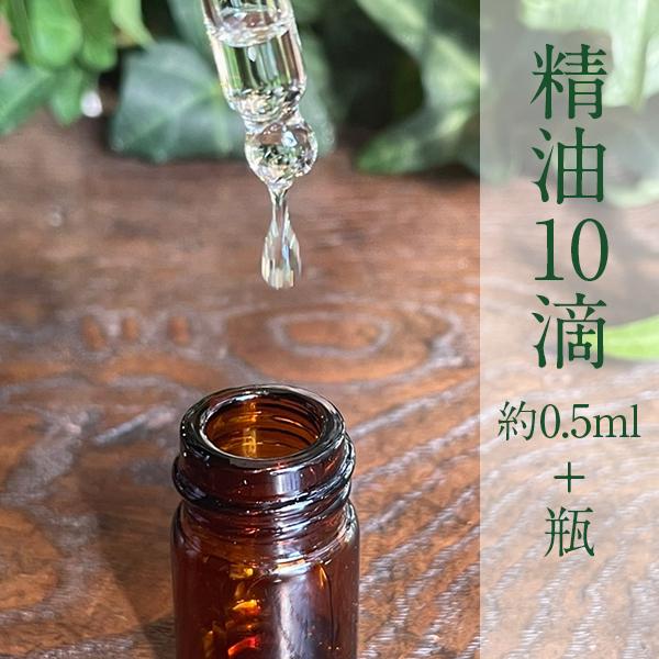 メール便　送料無料！ペパーミント10滴（約0.5ml）＋瓶代　一般社団法人アロマホームドクター協会公...