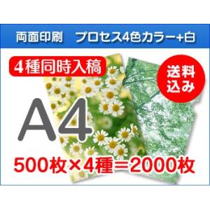 A4クリアファイル印刷　500枚×4種=2000枚｜cffactory
