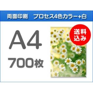 A4クリアファイル印刷　700枚