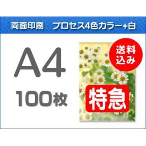 A4クリアファイル印刷【特急便】100枚