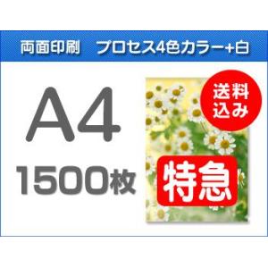A4クリアファイル印刷【特急便】1500枚