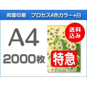 A4クリアファイル印刷【特急便】2000枚