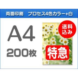 A4クリアファイル印刷【特急便】200枚