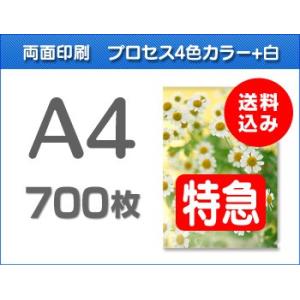 A4クリアファイル印刷【特急便】700枚