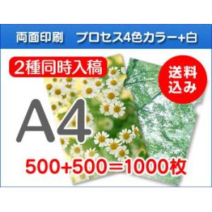 A4クリアファイル印刷　500枚+500枚=1000枚