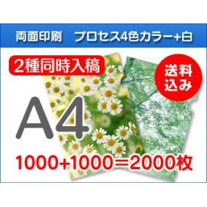 A4クリアファイル印刷　1000枚+1000枚=2000枚