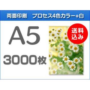 A5クリアファイル印刷　3000枚