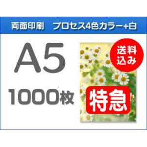 A5クリアファイル印刷【特急便】1000枚｜cffactory