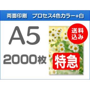 A5クリアファイル印刷【特急便】2000枚