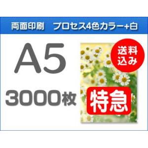 A5クリアファイル印刷【特急便】3000枚