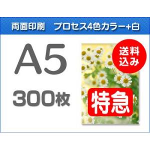 A5クリアファイル印刷【特急便】300枚