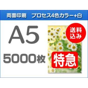 A5クリアファイル印刷【特急便】5000枚｜cffactory