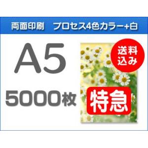 A5クリアファイル印刷【特急便】5000枚