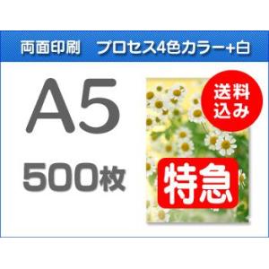 A5クリアファイル印刷【特急便】500枚