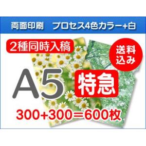 A5クリアファイル印刷【特急便】300枚+300枚=600枚