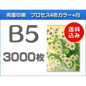 B5クリアファイル印刷　3000枚