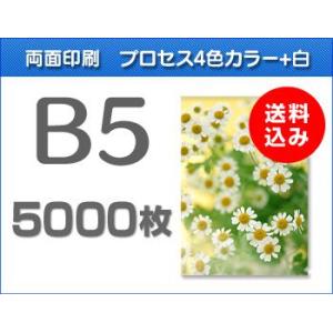 B5クリアファイル印刷　5000枚