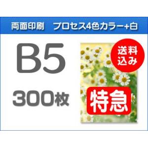 B5クリアファイル印刷【特急便】300枚