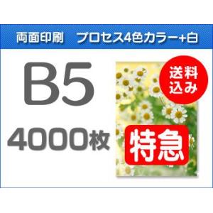 B5クリアファイル印刷【特急便】4000枚