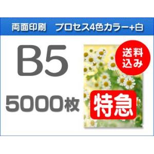 B5クリアファイル印刷【特急便】5000枚
