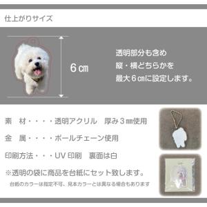アクリルキーホルダー ペット 写真 かわいい ...の詳細画像3