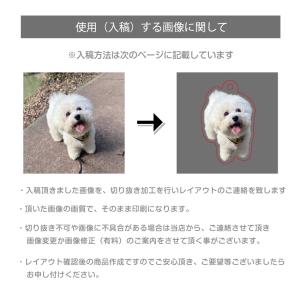 アクリルキーホルダー ペット 写真 かわいい ...の詳細画像4