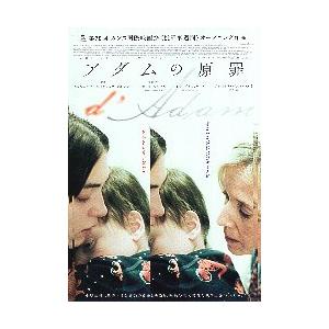 映画チラシ／ アダムの原罪　（Lワンデル監督）