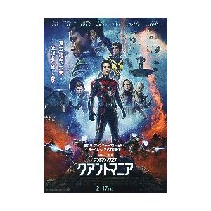 映画チラシ／ アントマン＆ワスプ　クアントマニア　B　キャラ多数