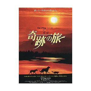 映画チラシ／ 奇跡の旅　（Wディズニー）　アニメ　※ペン先程の窪み1ヵ所