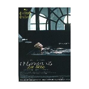 映画チラシ／ けものがいる　（Lセドゥ）　B　黒